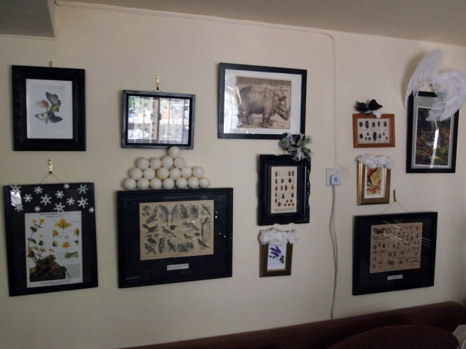Flora and fauna gallery wall is looking a little chilly